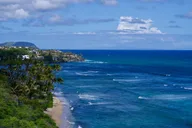 Oahu Private Tour Customizable Half Day thumbnail 6