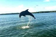 Key Largo Mangrove Eco-Tour 90 Min thumbnail 2