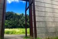 Oahu Private Island Tour thumbnail 3