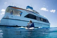 Maui Snorkel Adventure with Turtle Arches - 5 hr thumbnail 5