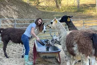 Buffalo Creek Ranch Tour thumbnail 5