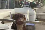 Winter Haven Pontoon Tour thumbnail 3