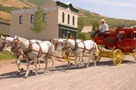 Salt Lake City Family Attractions Pass thumbnail 2