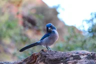 Phoenix Hiking Tour in Superstition Mountains thumbnail 5