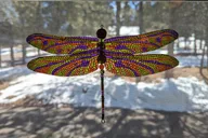 Estes Park Art Kit Experience thumbnail 6