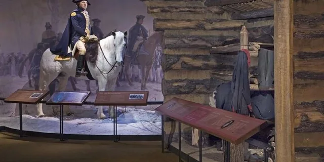 Washington D.C. Mount Vernon Small Group Tour 4 hr - Image 4