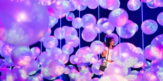 Houston Balloon Museum Pop Air Entry Ticket 1 hr - Image 3