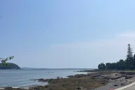 Acadia E-bike Rentals with Free Delivery thumbnail 4