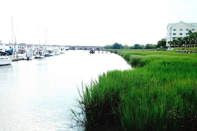Charleston Food Walking Tour - Image 6