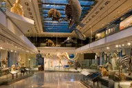 Los Angeles Natural History Museum Entry Ticket thumbnail 2