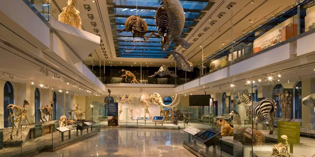 Los Angeles Natural History Museum Entry Ticket - Image 2
