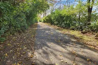 Wilmington E-Bike Tour to Airlie Gardens thumbnail 5