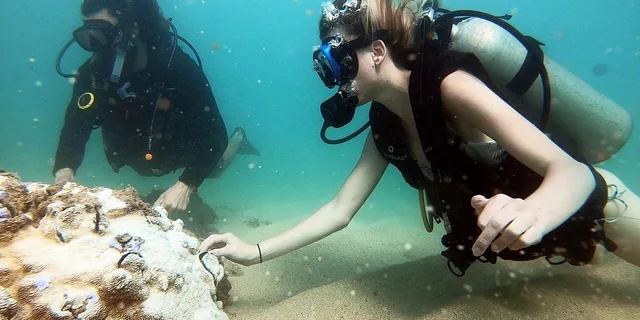 West Palm Beach Scuba Diving Adventure with Videos - Image 3