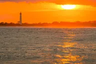 Cape May Whale and Dolphin Watching Cruise thumbnail 2