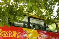 Seattle Hop-On Hop-Off Bus Tour with Cruise thumbnail 4