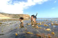 Los Angeles Snorkeling Tour thumbnail 2