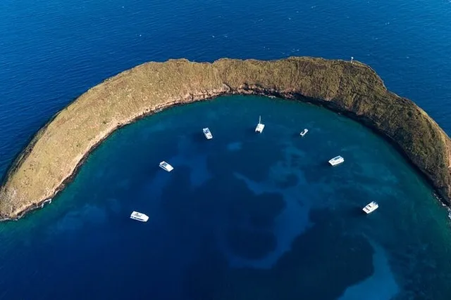 Maui Snorkel Adventure with Turtle Arches - 5 hr - Image 1