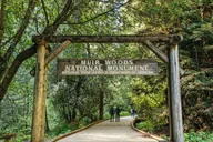 San Francisco Muir Woods and Sausalito Tour thumbnail 1