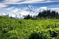 Seattle Mt Baker & Cascade Mountains Tour thumbnail 2