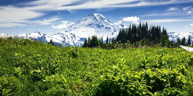 Seattle Mt Baker & Cascade Mountains Tour - Image 2