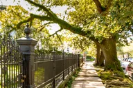 New Orleans Garden District History and Architecture Tour thumbnail 2