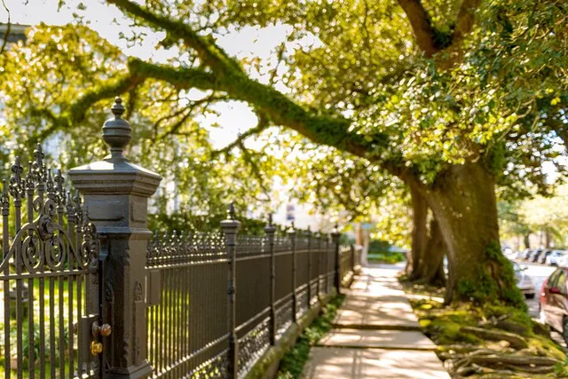 New Orleans Garden District History and Architecture Tour - Image 2
