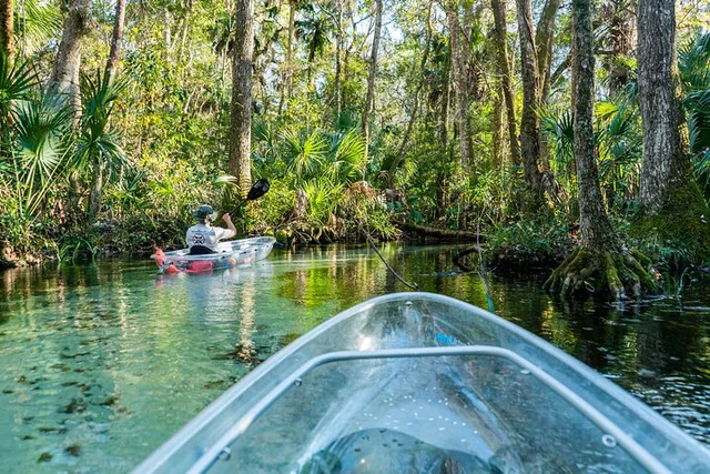 Rainbow Springs Glass Bottom Kayak Eco Tour - Image 3