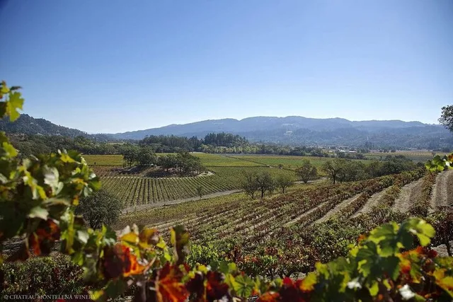 Sonoma and Napa Valley Private Limo Wine Tour - Image 6
