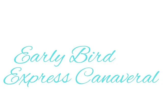 Orlando Private Transfer to Port Canaveral - Image 6