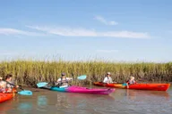 Charleston Folly River Kayak Dolphin Safari at Sunset thumbnail 4