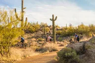 Scottsdale Mountain Bike Tour in Sonoran Desert thumbnail 3