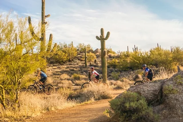 Scottsdale Mountain Bike Tour in Sonoran Desert - Image 3