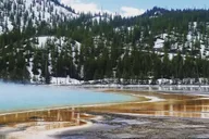 Yellowstone Lower Loop Day Trip from Jackson thumbnail 6