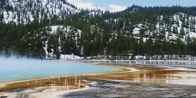 Yellowstone Lower Loop Day Trip from Jackson - Image 6