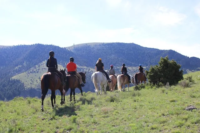 Paradise Valley Horseback Trail Ride 2 hr - Image 4