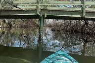 Ruskin Mangrove Tunnel Kayak Tour 3 hr thumbnail 2