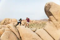 Joshua Tree Private Tour and Hike thumbnail 1