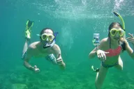 Fort Lauderdale Snorkel Experience thumbnail 5