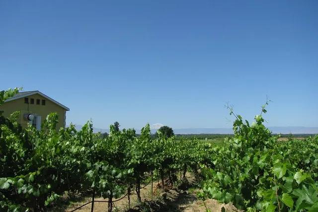 Seattle Wine Tasting Tour in Eastern WA - Image 2