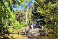 Bainbridge Island Wine and History Tour thumbnail 3