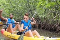 Miami Mangrove Kayak and SUP Tour 2.5 hr thumbnail 2