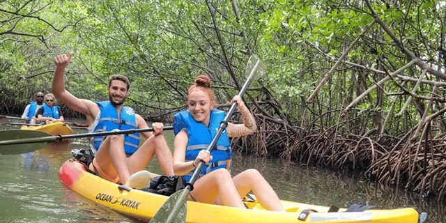 Miami Mangrove Kayak and SUP Tour 2.5 hr - Image 2
