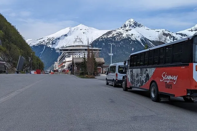 Skagway Husky Puppy Play Time & Summit Tour - Image 5