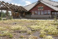 Yellowstone & Grand Teton 4-Day Tour thumbnail 5