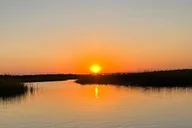 Hilton Head Kayak Dolphin Nature Tour thumbnail 6