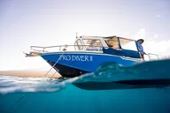 Maui Scuba Diving Molokini Crater 3 hr thumbnail 2