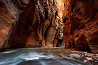 Yellowstone and Southern Utah 9-Day Tour thumbnail 6