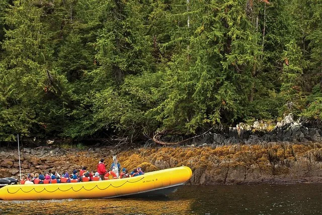 Ketchikan Rainforest Island and Boat Adventure - Image 3