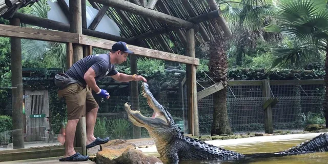 Orlando Wildlife Park and Gator Show - Image 1