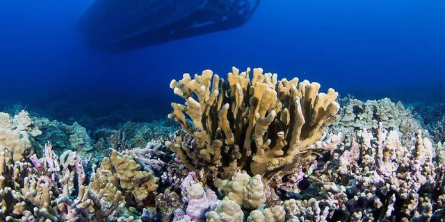 Kona Underwater Submarine Adventure - Image 2